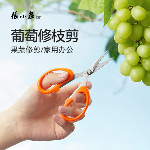 张小泉葡萄修枝剪剪纸拆箱