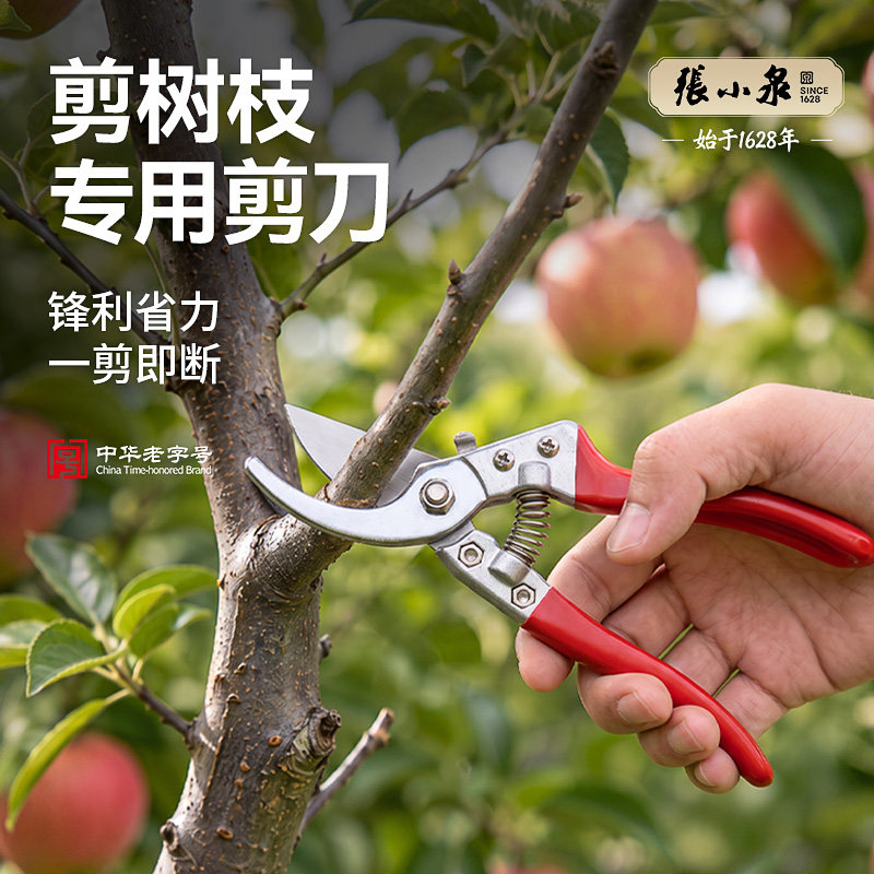 张小泉剪树枝专用剪刀SK5钢花卉剪修枝剪盆景绿植园艺园林摘果剪