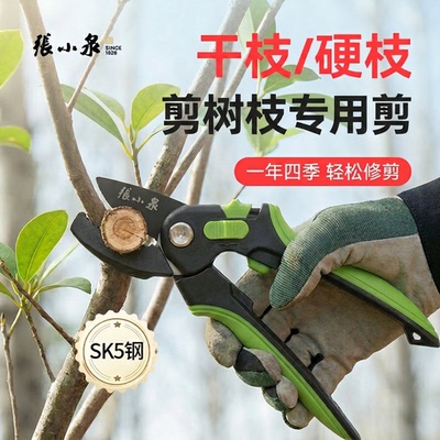 张小泉剪树枝专用剪刀园林修枝剪