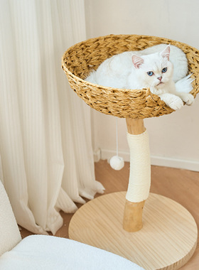 UHomePets小型实木猫树猫爬架树干藤编风四季高颜值小户型猫架