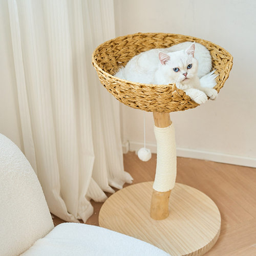 UHomePets友乎小型实木猫树猫爬架树干藤编风四季高颜值猫爬架