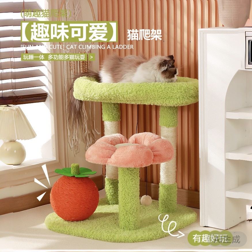 可爱猫爬架耐磨小型猫咪架子猫抓板攀爬猫跳台宠物玩具用品幼猫
