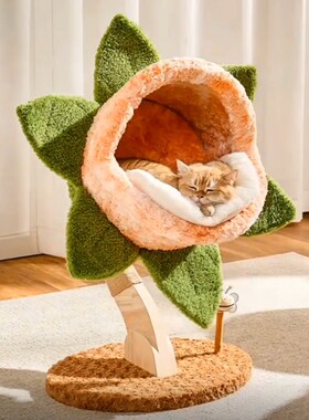 喵丽丝大嘴花猫爬架猫窝一体猫咪休息窝家用室内猫树小户型不占地