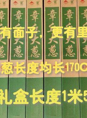 正宗山东章丘大葱礼盒葱王王金大葱特级新鲜脆嫩微甜章丘发货顺丰