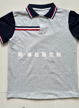 定制江西省丰城市第九中学夏季校服半袖上衣灰色拼接藏蓝短袖T恤