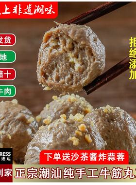 潮汕正宗产牛肉丸牛筋丸牛肉串烧烤火锅食材火锅丸子2斤