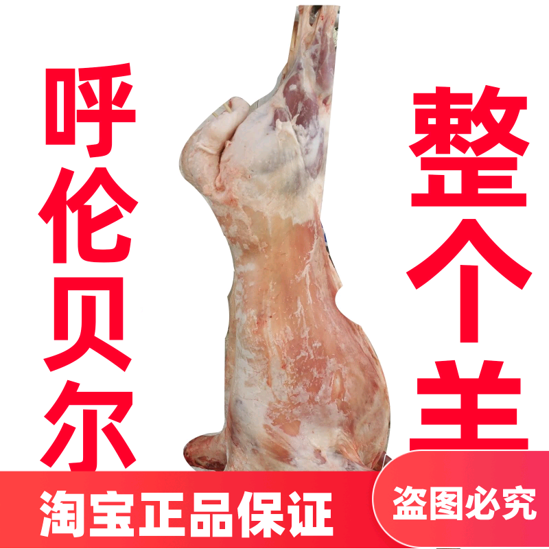 内蒙古全羊肉新鲜整只羊呼伦贝尔羊个子羊腔子白条羊散装称重现杀