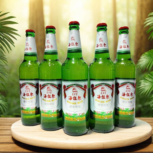 11度海拉尔啤酒玻璃瓶12瓶