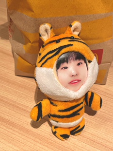 立体人脸权顺荣同款老虎仔娃娃公仔钥匙扣挂件照片定制