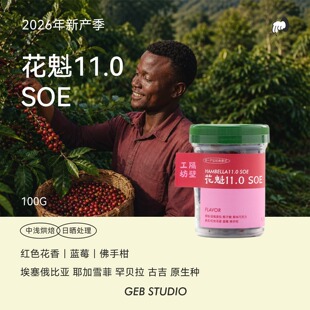 隔壁工坊 26年新产季 花魁11.0 SOE中浅烘焙日晒处理红色花香100g