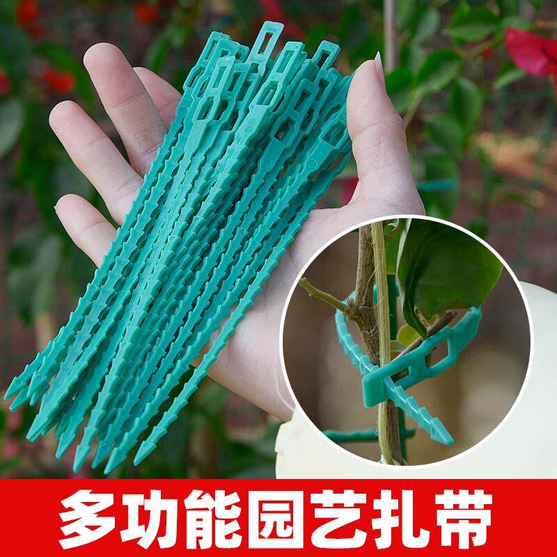 鱼骨扎带月季爬藤植物固定绑扎