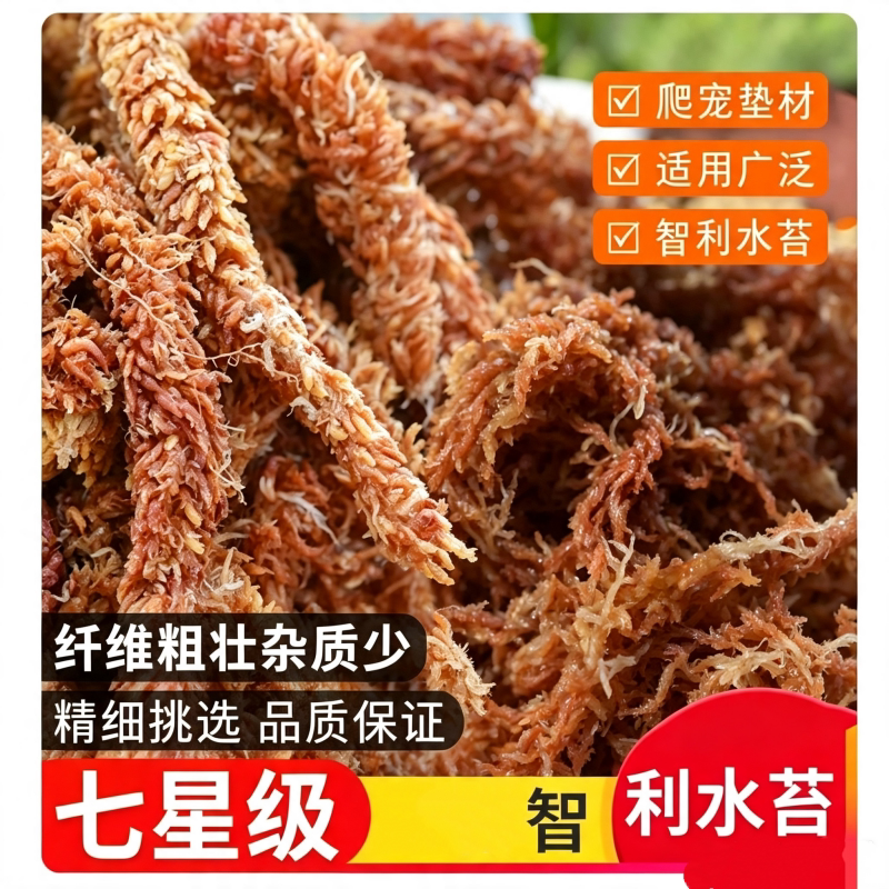 智利进口毛毛虫水苔蝴蝶兰植物兰花专用土干苔藓植料乌龟冬眠垫材