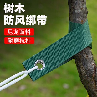 树木防风绑带树带苗木防台风防倒伏定型固定支撑加固植物地钉绳子