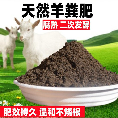 家用鸡粪发酵有机肥鸡屎肥蔬菜