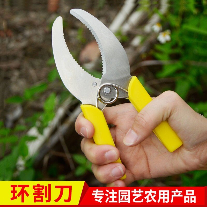 环割刀环切刀剪刀园林环剥剪果树