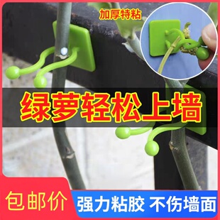 绿萝爬墙上花神器绿植固定器绿箩家用无痕卡扣绿枝爬藤杆夹子室内