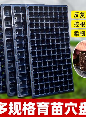 育苗盘育苗盆穴盘营养钵扦插