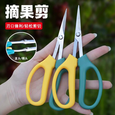 不锈钢葡萄摘果剪翘头弯尖