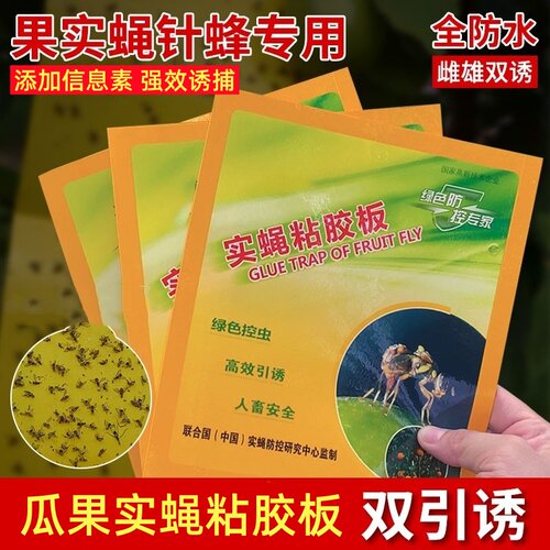 果蝇粘虫板诱粘板瓜果实蝇针蜂