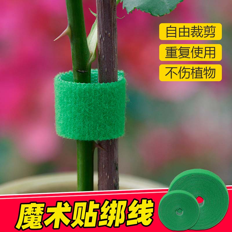 绑花扎带绿植龟背竹魔术贴固定贴