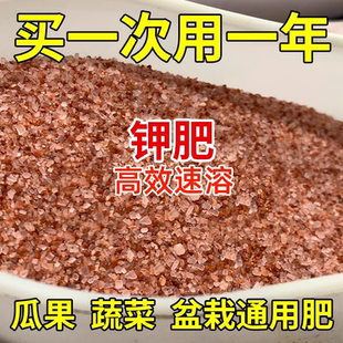 进口红氯化钾钾肥促果增产膨大生物钾肥微量元素高钾叶面肥肥料