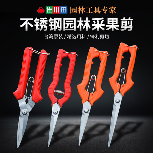 剪葡萄修花剪稀果剪剪刀枝剪柑橘