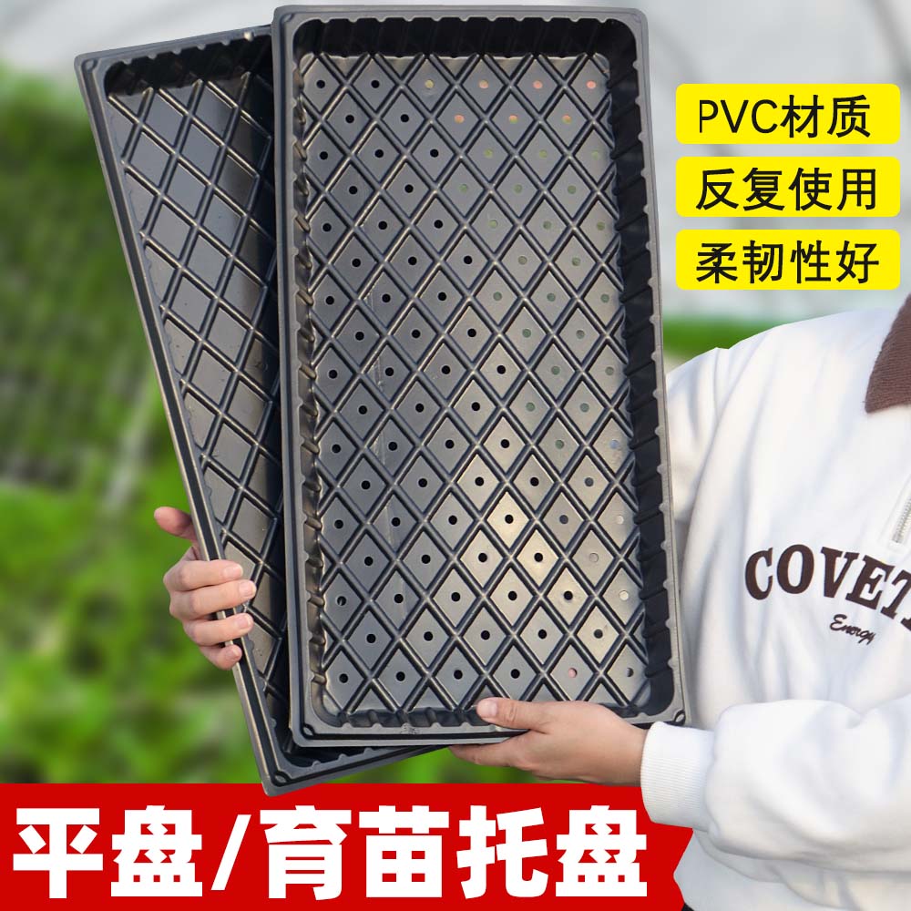 育苗托盘穴盘种植神器营养钵培育盘种植盘扦插盘托盘盆养殖平盘