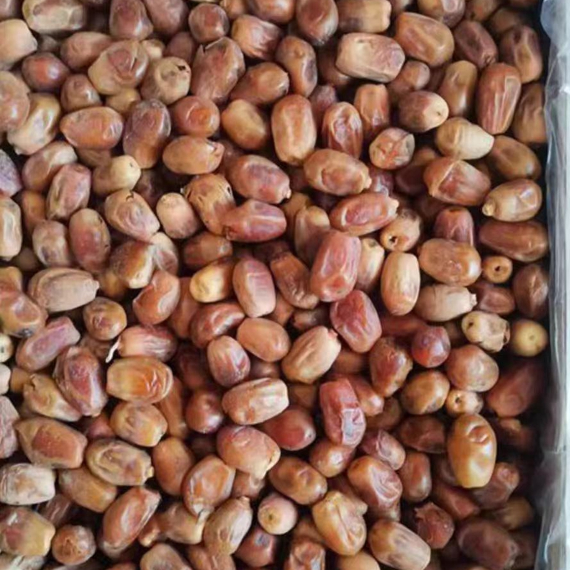 新货20斤黄金椰枣2斤伊拉克黑椰枣袋装休闲零食黄椰枣包邮阿联酋