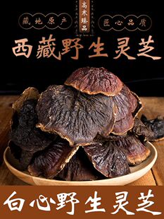 西藏灵芝野生白心赤灵芝白肉林芝草整支灵芝切片正品250g桑黄金边