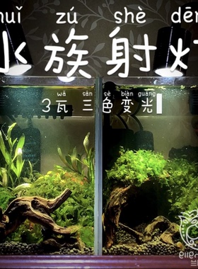 LED射灯旋钮夹三色变光小型原生南美缸3瓦斗鱼生态缸鱼缸兰陵泰斗