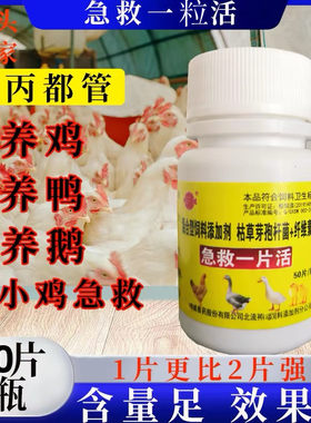 鸡鸭鹅鸽老牌子禽类急救片一片活