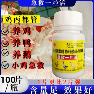 家禽鸡鸭鹅鸽呆立精神不振药老牌子禽类急救一粒片活鸡药大全呼吸