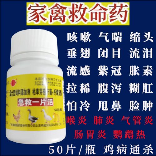 速效急救禽用救禽一粒活强效鸡鸭鹅鸽兔流感发烧黄白痢呼吸道