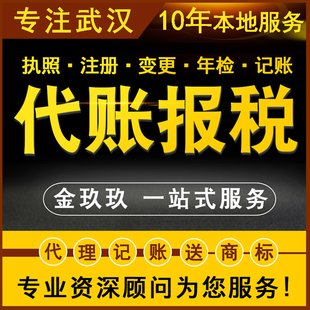 武汉东湖新技术开发区公司注册会计代理记账报税整理乱账财务咨询