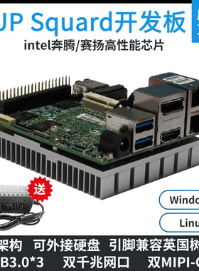 研扬UP Squared Intel X86开发板 win10 Windows10主板 双网口UP2