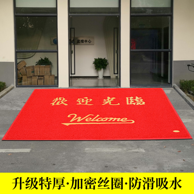欢迎光临门垫入户进大门口迎宾地毯商铺酒店地垫出入平安丝圈脚垫