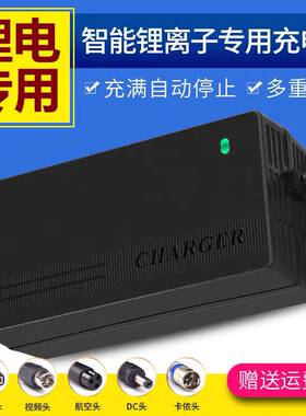 电动车锂电池充电器24V36V48v67伏20aA安滑板车哈雷代驾独轮航空