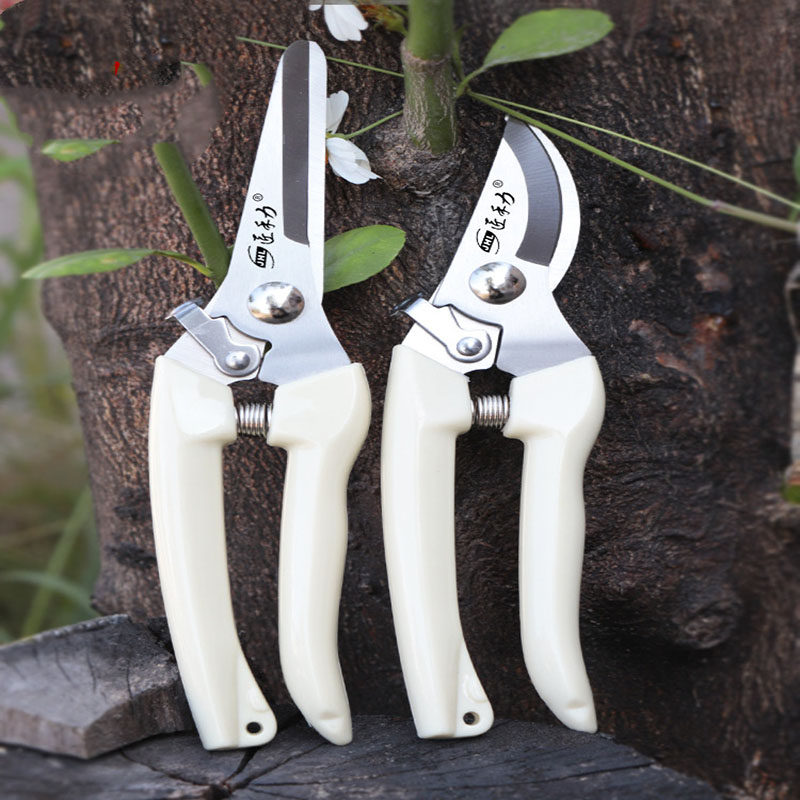 园林园艺花卉剪刀省力修花