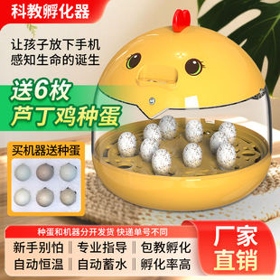送蛋科教孵化器小型家用全自动控温恒温孵化箱芦丁鸡儿童孵蛋器