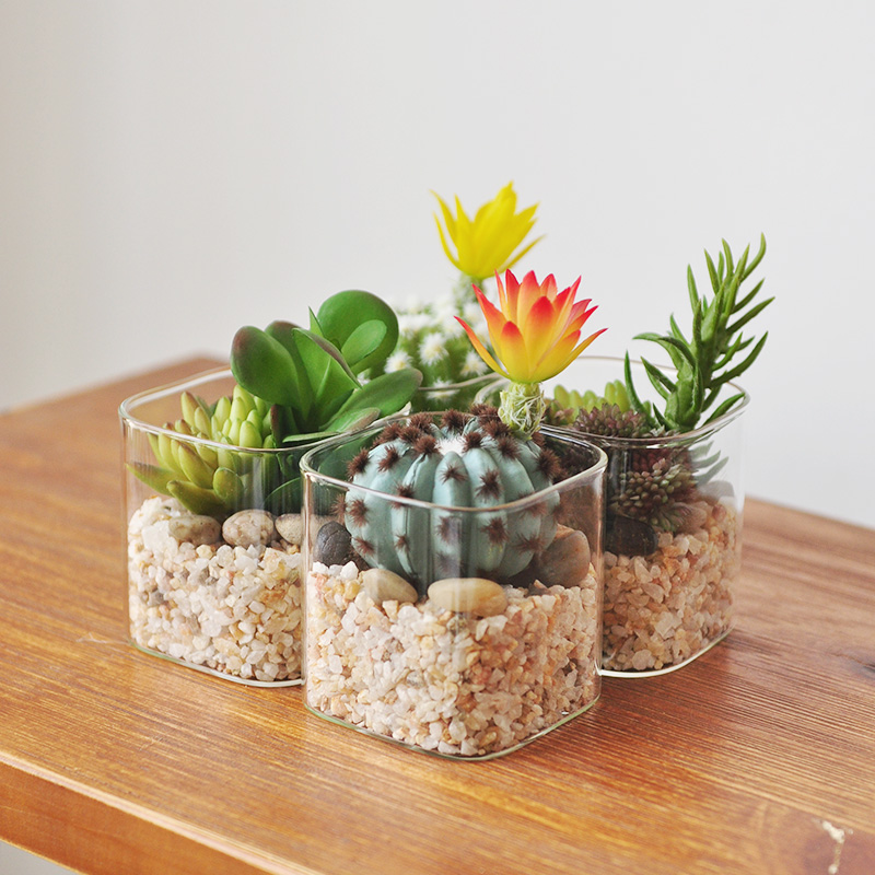 仿真小盆栽多肉植物桌摆组合盆栽 自然感家居盆景办公装饰 art393