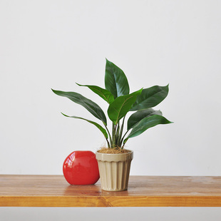 居家办公室绿化小桌摆art426 植物盆景 仿真绿植桌摆盆栽 自然风格