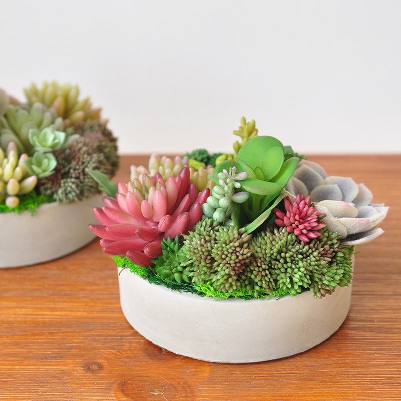 圆盆仿真植物多肉高档装饰品九思