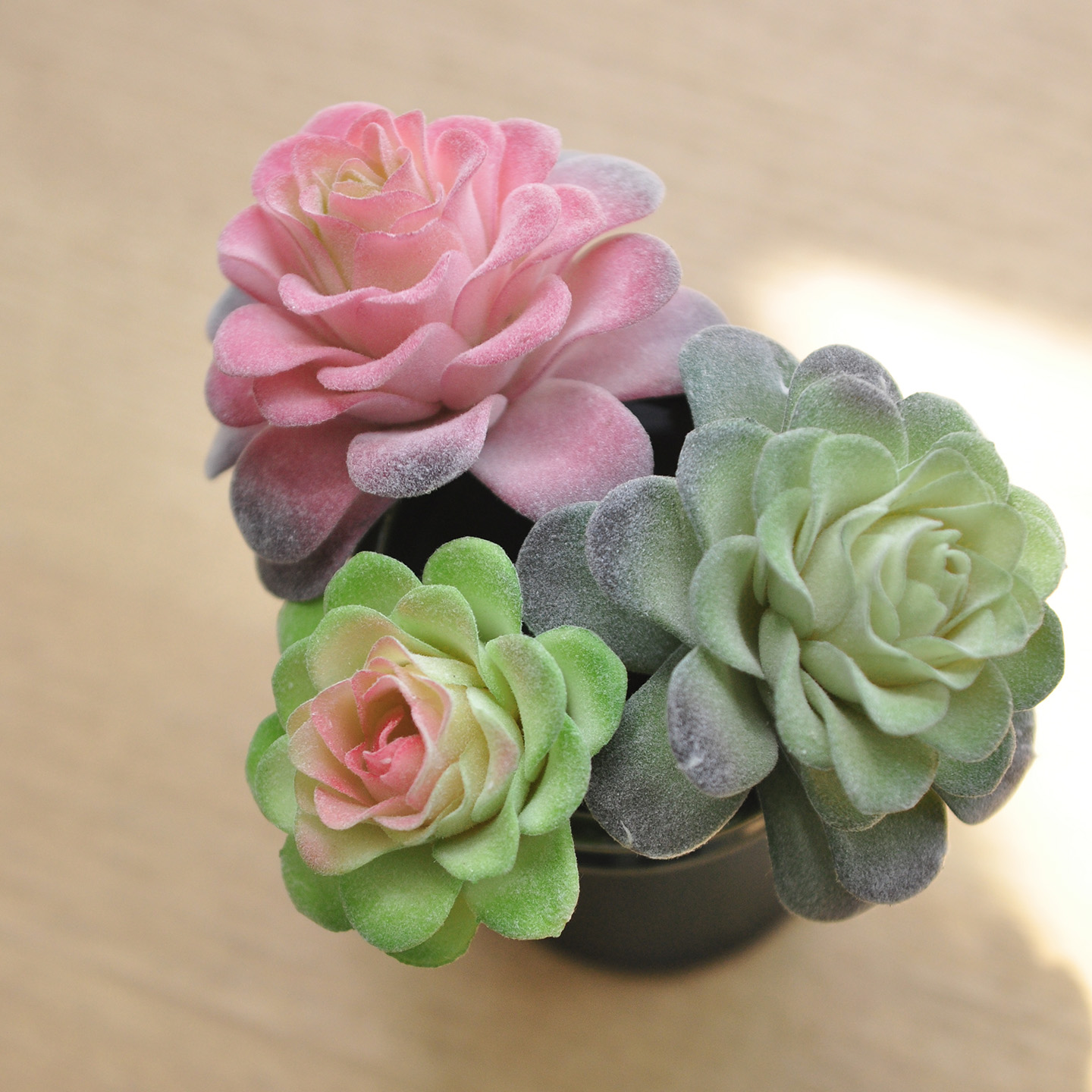 仿真多肉植物仿生假绿植 商用家居桌面装饰品盆栽拍照组合F669