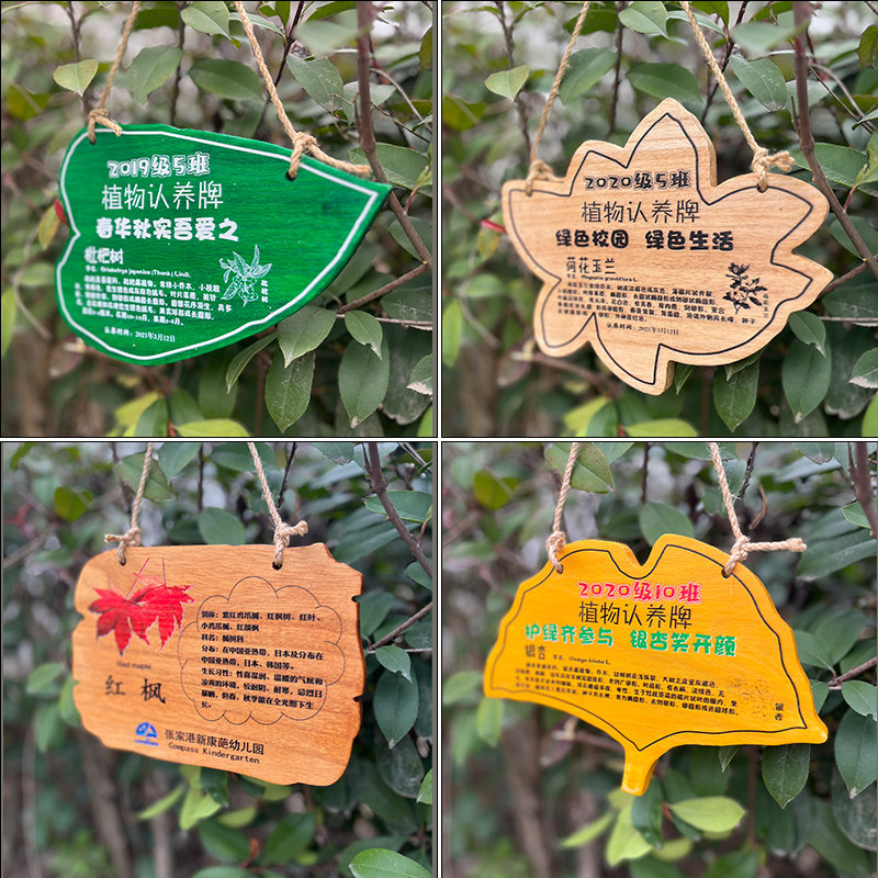 植树节定制树牌学校幼儿园树木植物认养牌果树吊牌信息提示牌木牌