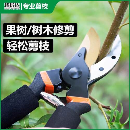 园林园艺剪工艺钢剪树剪子果树剪