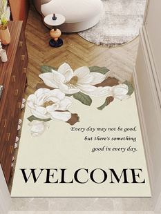 入户门垫可擦免清洗进门地垫皮革玄关门口防滑脚垫家用可裁剪地毯