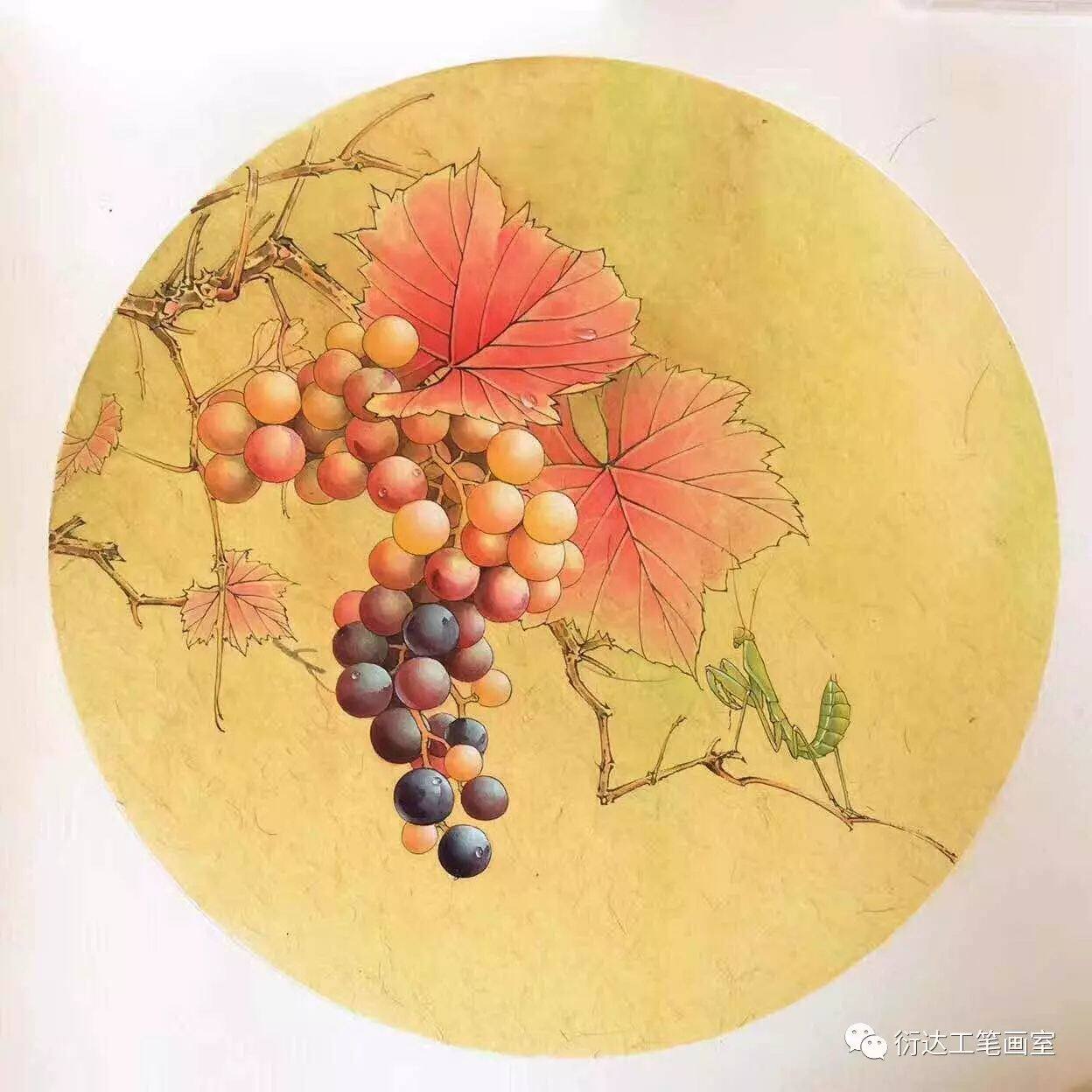 工笔画底稿 葡萄螳螂 参考白描44#打印稿 宣纸稿