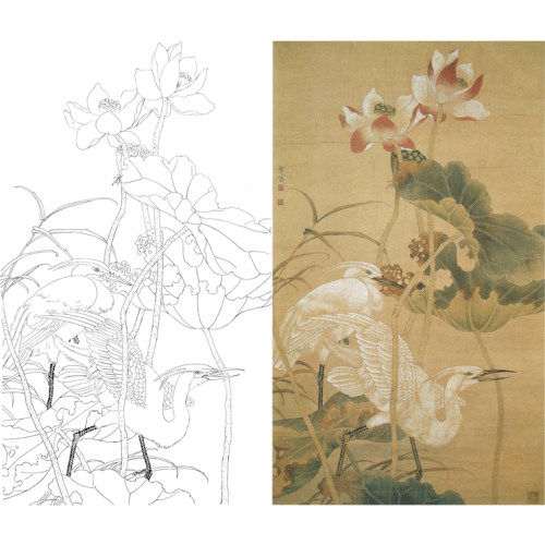 4尺陈之佛秋荷白鹭打印稿工笔画