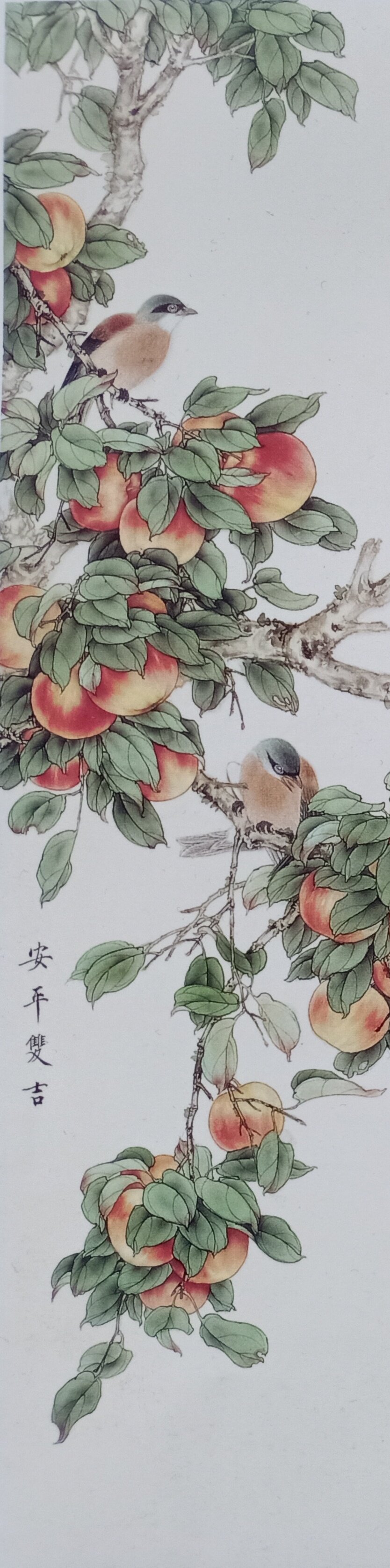 工笔画底稿苹果花鸟吉祥寓意条屏竖副白描1#打印稿宣纸稿学习临摹