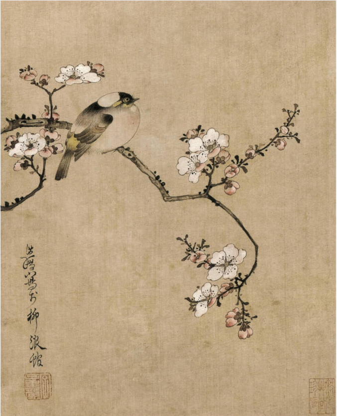 工笔画底稿 明 陈洪绶梅花小鸟图白描小品4#打印稿宣纸稿